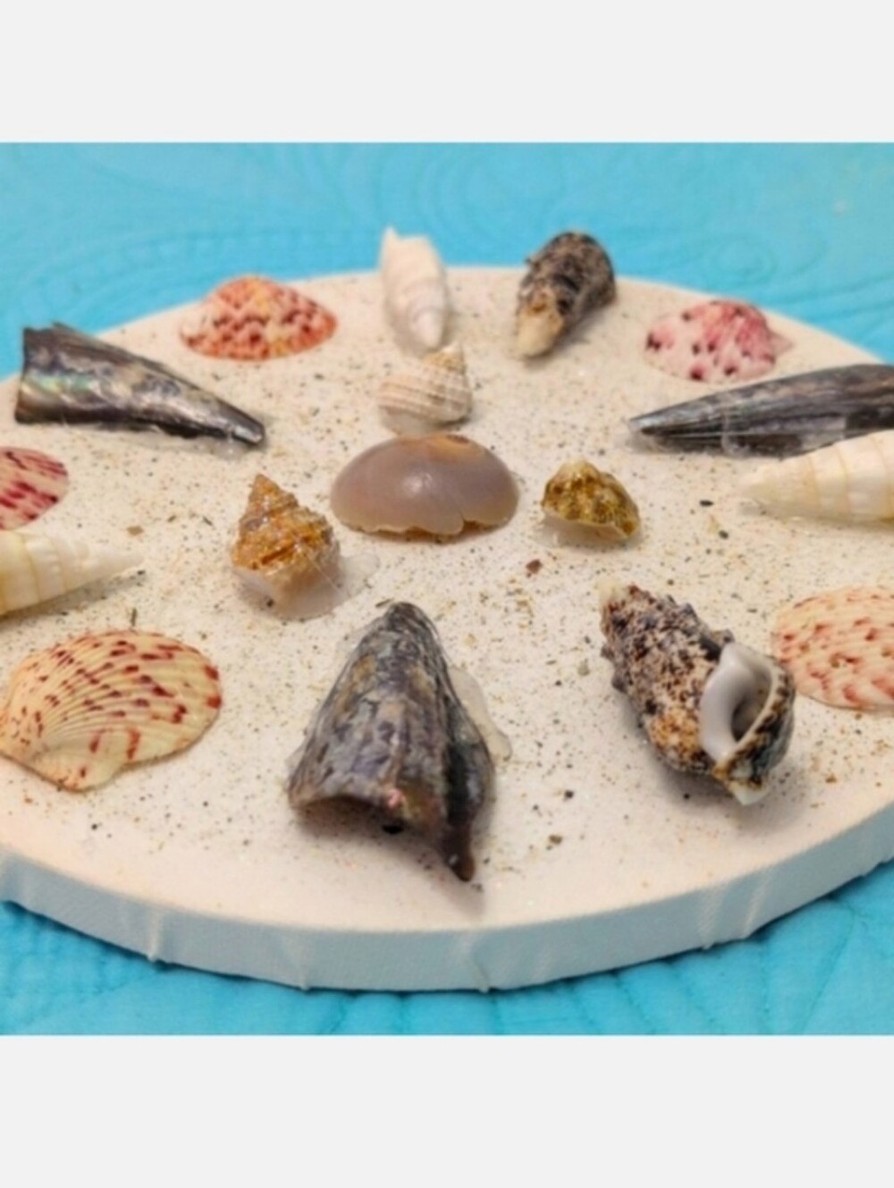 Seashell Art Wall Art. Home Decor Beach Art Coastal Home Goods - Picture 3 of 9